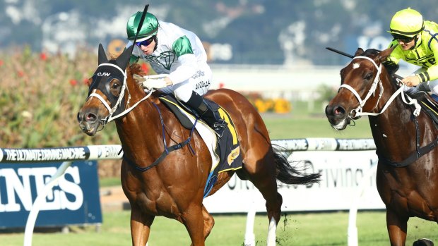 Religify tackles the November Handicap at Rosehill and opened as a clear favourite.
