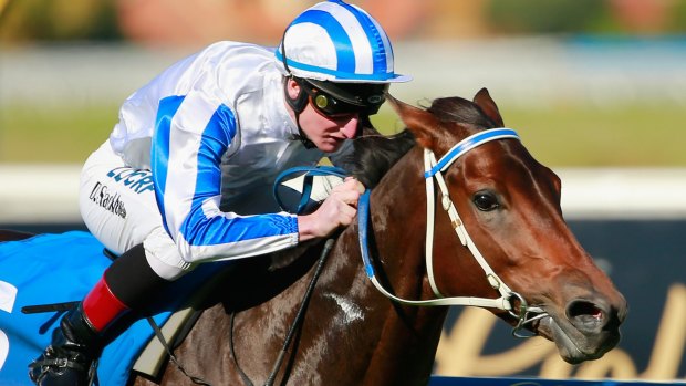 All the way: Bassett, ridden by Daniel Stackhouse, wins on debut at Caulfield. 
