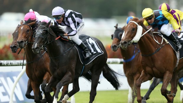 Another one in the bag: Greg Ryan rides Alart to victory at Rosehill in 2015.