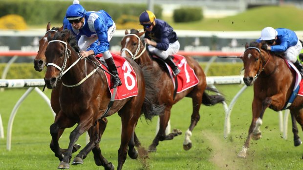 Winx man: Hugh Bowman is hoping for a reduction in a careless-riding penalty.
