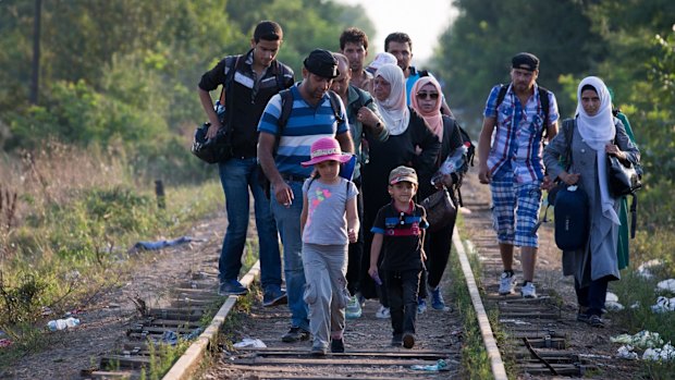 Syrians crossing the border from Serbia into Hungary close to the village of Roszke in recent days.