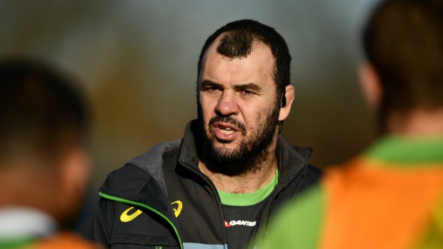 Big game: There will be plenty riding on the result when Michael Cheika's Wallabies take on the All Blacks on August 19.