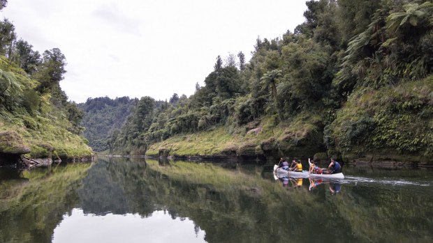 Cultural discovery canoe tour, Whanganui River. A cultural discovery tour of the Whanganui River includes Maori stories, songs and customs. You can also expect plenty of physical action, as you cope with some of the more exciting stretches of water. Overnight stays on marae traditional Maori settlements are a highlight of the journey. Photograph by Ian Trafford/ Tourism New Zealand. SHD TRAVEL JAN 17 NEW ZEALAND CANOE.