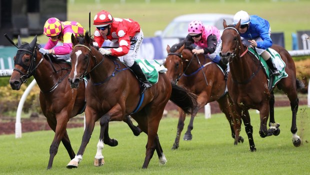 Maiden win: Perignon and Brenton Avdulla (red and white cap) take out the 1200-metre juvenile at Canterbury on Saturday.