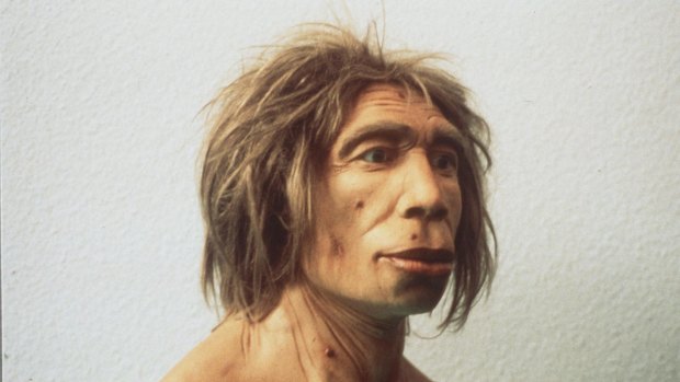 Neanderthals interbreeded with Homo sapiens.