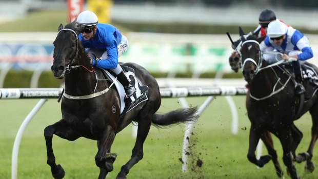 Comeback kid: Sam Clipperton and Complacent take out the Chelmsford Stakes at Randwick.