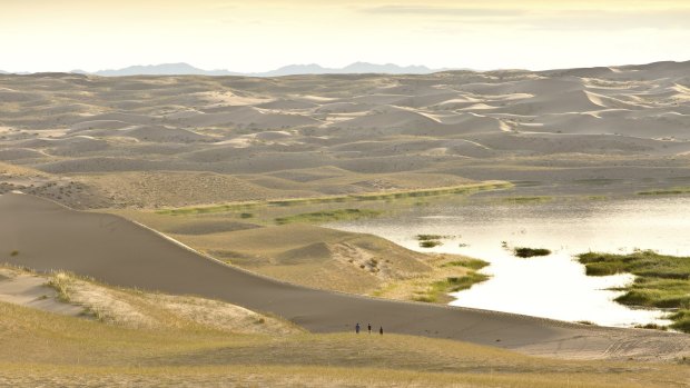 Sand dunes of Elsen-Tasarkhai, or Mongol Els, around Ereen Lake.