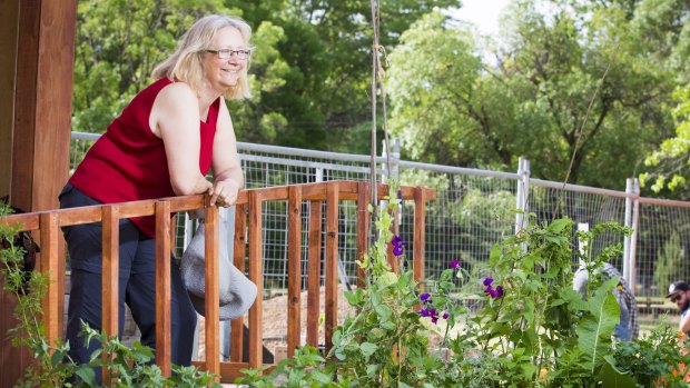 'We want to show you can grow on a balcony, in whatever sized space you have': Volunteer Deborah Reynolds.