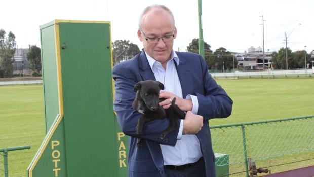 Luke Foley is accused of telling an animal rights group he would love to end greyhound racing in NSW.