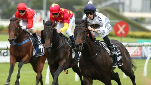 American dream: Jason Collett and Yankee Rose (right) take out the Jimmy "The Pumper" Cassidy Golden Gift at Rosehill.