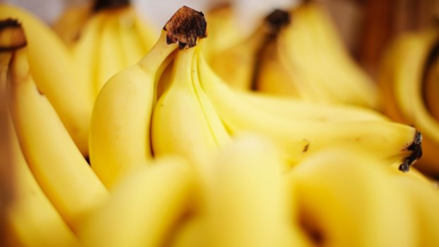 A strain of Panama disease is threatening Queensland's banana crops.