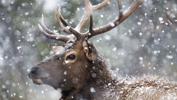 Close-ups are as important as grand vistas.