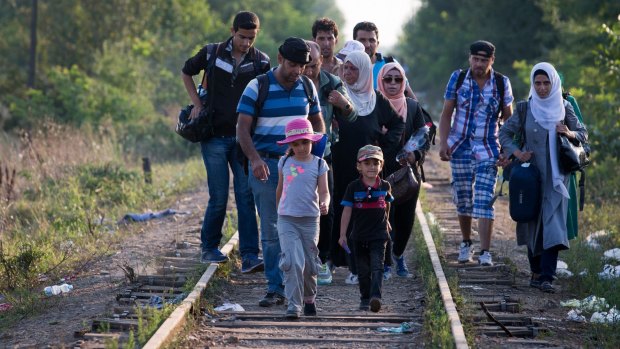 Syrians crossing the border from Serbia into Hungary close to the village of Roszke in recent days.
