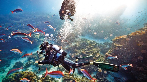 Heron Island, Great Barrier Reef. 