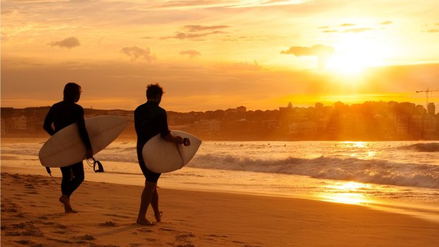 Summer extremes: Surfers at Bondi Beach.