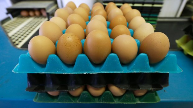 Countries around the world are trying to phase-out caged eggs.