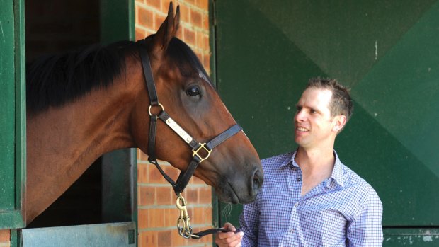 Canberra trainer Matthew Dale says the TJ Smith is still on Fell Swoop's radar.
