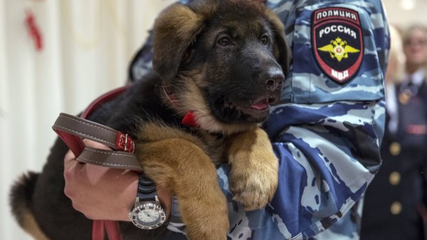 A Russian police officer holds a puppy, named Dobrynya, before presenting it to French police.