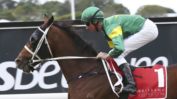 Brisbane bound: Moriarty is one of a handful of Chris Waller stars heading north for the Doomben Cup.