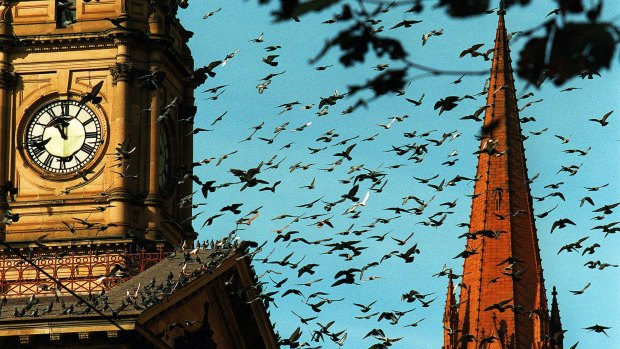 Melbourne Town Hall, home of an important experiment in democracy.