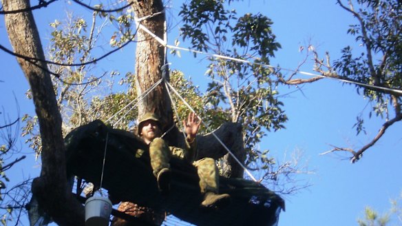 Army reservist one man tree-sitting protest in South West
