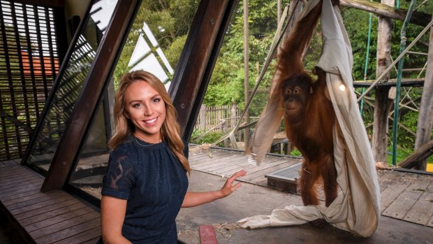 Lyndl Kean is heading to Indonesia to work with The Orangutan Project at a sanctuary in Sumatra.