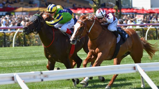 Back for more: Tivaci will be seeking further success at Flemington.