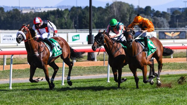 Almost Court winning the Canberra Cup on March 11. 