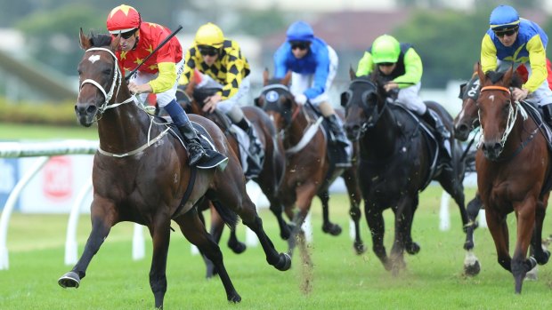''Too valuable": A half-sister to star galloper Press Statement will not go under the hammer.
