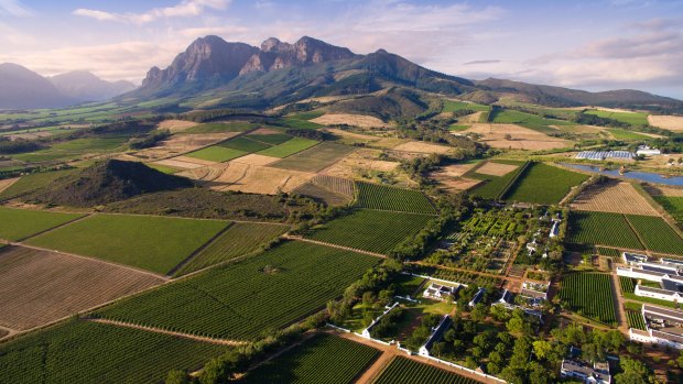 Babylonstoren with its distinctive hill.