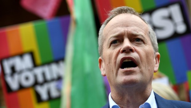 Bill Shorten's Labor Party has been more willing to work directly with community campaigners.