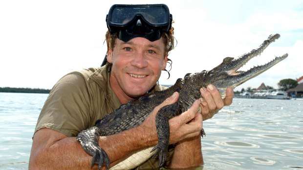 Eric Bana and Russell Crowe were linked with earlier rumours of a biopic about Crocodile Hunter Steve Irwin.
