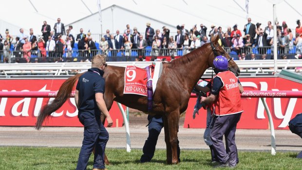 Retired: Red Cadeaux.