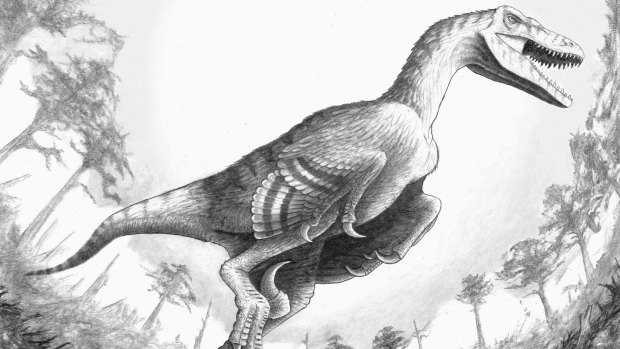 A sketch of a newly discovered species of raptor called Dakotaraptor, by Robert DePalma, curator of vertebrate paleontology at the Palm Beach Museum of Natural History in Florida.