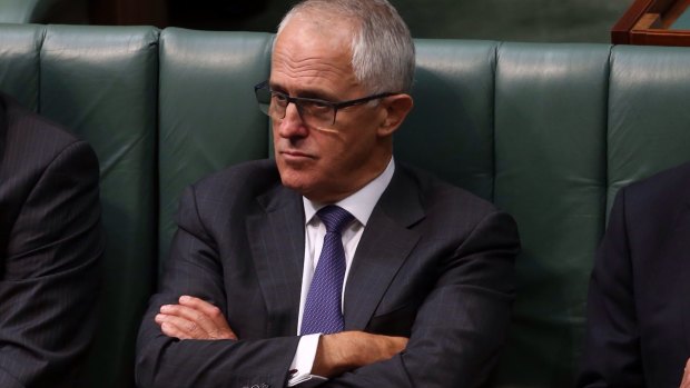 Communications Minister Malcolm Turnbull.