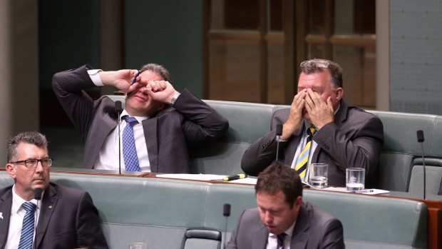 Dennis Jensen and Craig Kelly during question time at Parliament House last December. 