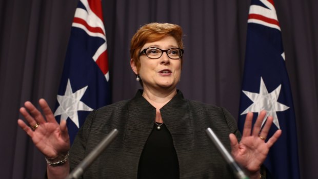 Defence Minister Marise Payne has inherited a portfolio in need of leadership and stability.