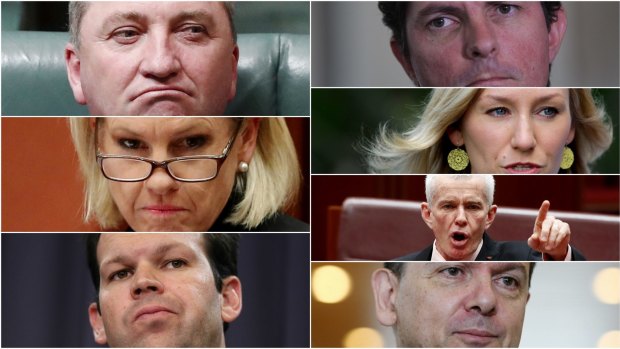 The citizenship seven: (Anti-clockwise from top left) Barnaby Joyce, Fiona Nash, Matt Canavan, Nick Xenophon, Malcolm Roberts, Larissa Waters and Scott Ludlam.