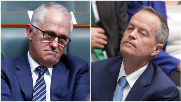 Prime Minister Malcolm Turnbull and Opposition Leader Bill Shorten should agree to audit the citizenship status of all MPs.