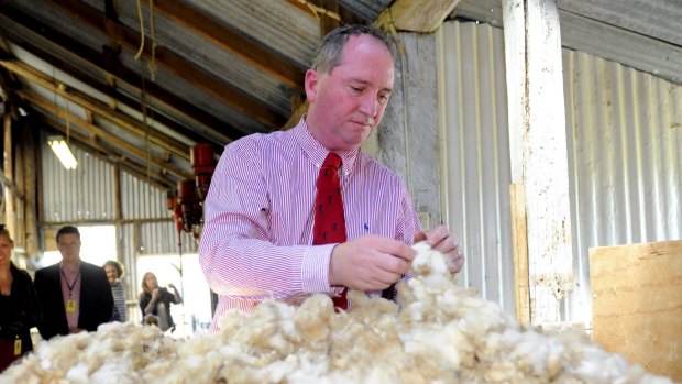 Agriculture Minister Barnaby Joyce inspects the wool at the Morrison family farm at Royalla, near Canberra. He says there's not the numbers for a rural development bank.