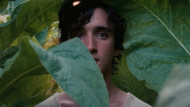 Happy as Lazzaro has a number of surprises up its sleeve.