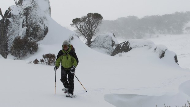Snowy Mountains backcountry expert Bruce Easton says the Kosciuszko National Park can have up to 2000 visitors a day in peak Christmas or Easter periods. 