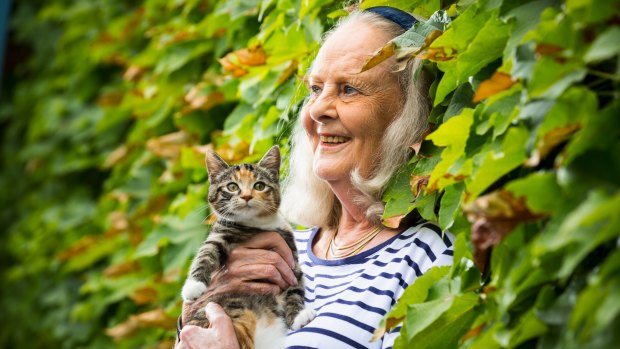 Virginia Edwards, of Brighton, receives the AM in the 2916 Australia Day Honours for her 50 years of voluntary work for Lort Smith Animal Hospital. She is  pictured in the hospital forecourt in North Melbourne with a kitten up for adoption, Missy.