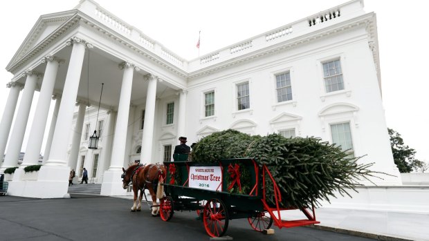 First lady Michelle Obama received the official White House Christmas Tree on November 25.