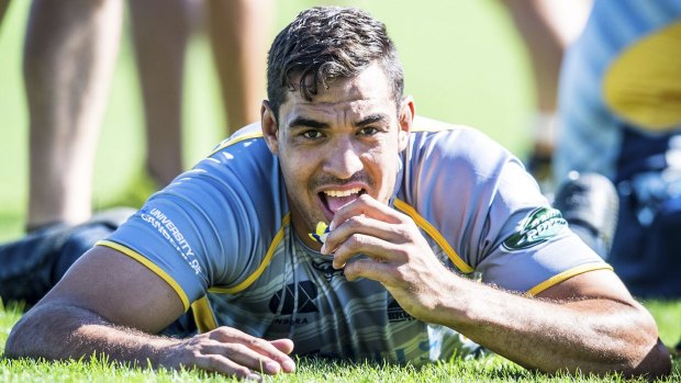 Wallabies potential: Brumbies second-rower Rory Arnold.