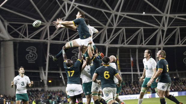 Crafty bunch: Ireland refused to form mauls against South Africa in order to limit the Boks' go-forward from the set-piece.