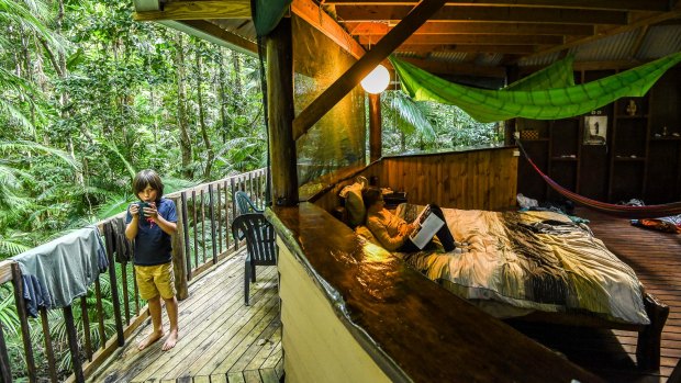 Jungle Tree house in the Daintree Rain Forest.
