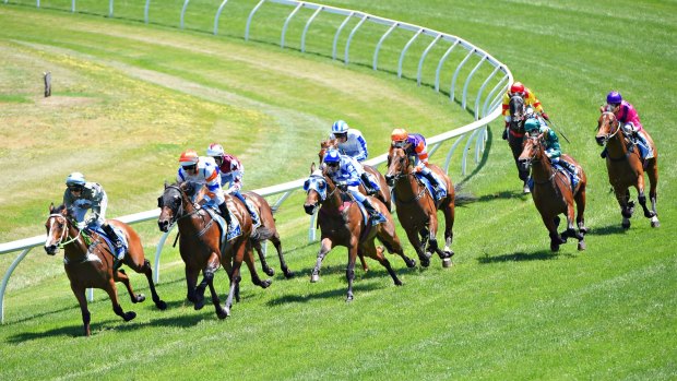 Luke Nolen on Despatch (second from left) turns into the home straight before winning the Magic Millions Clockwise Classic during Ballarat Cup day on Saturday.