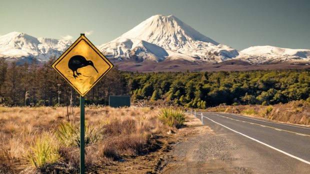 Mount Ngauruhoe is one of three active volcanoes in Tongariro National Park.