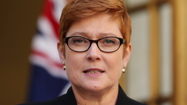 "The investigation into the incident is being finalised": Defence Minister Marise Payne.